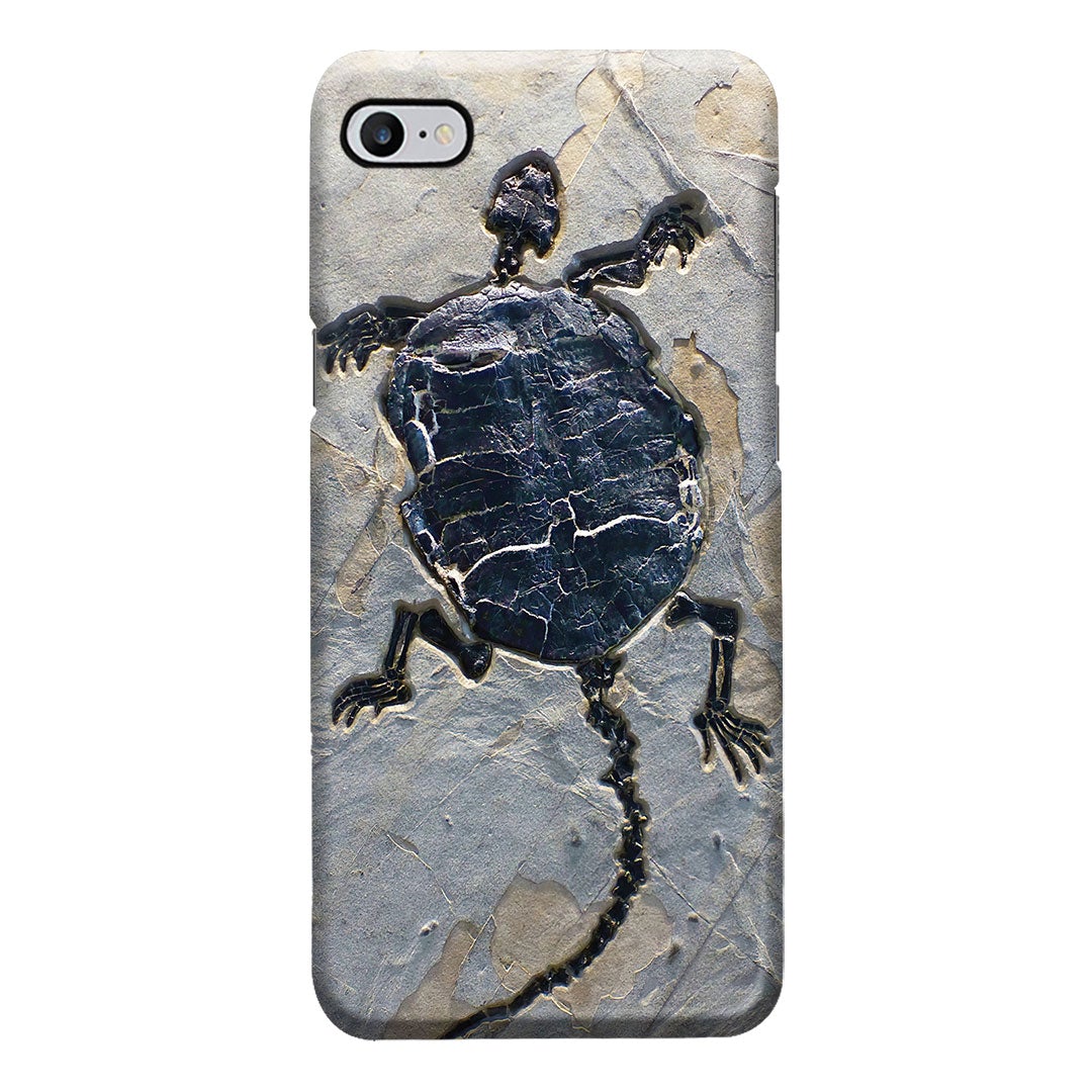 Cryptodiran Fossil Turtle Phone Case