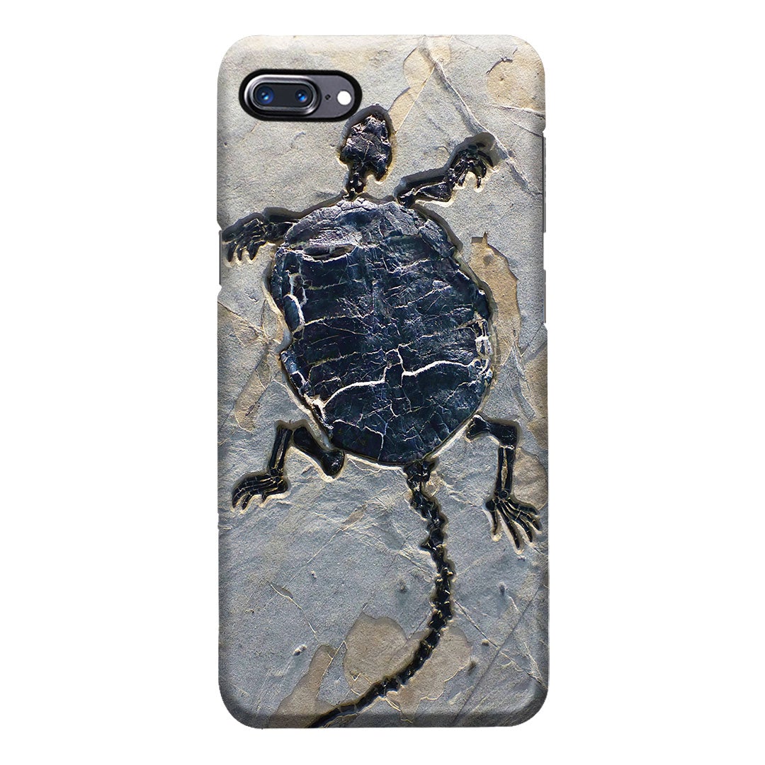 Cryptodiran Fossil Turtle Phone Case