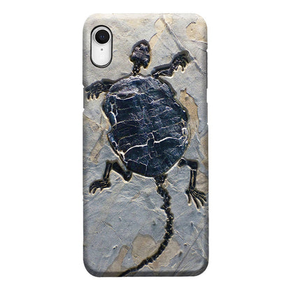 Cryptodiran Fossil Turtle Phone Case