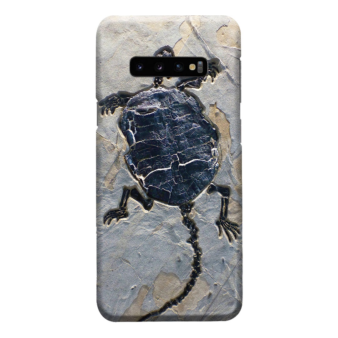 Cryptodiran Fossil Turtle Phone Case