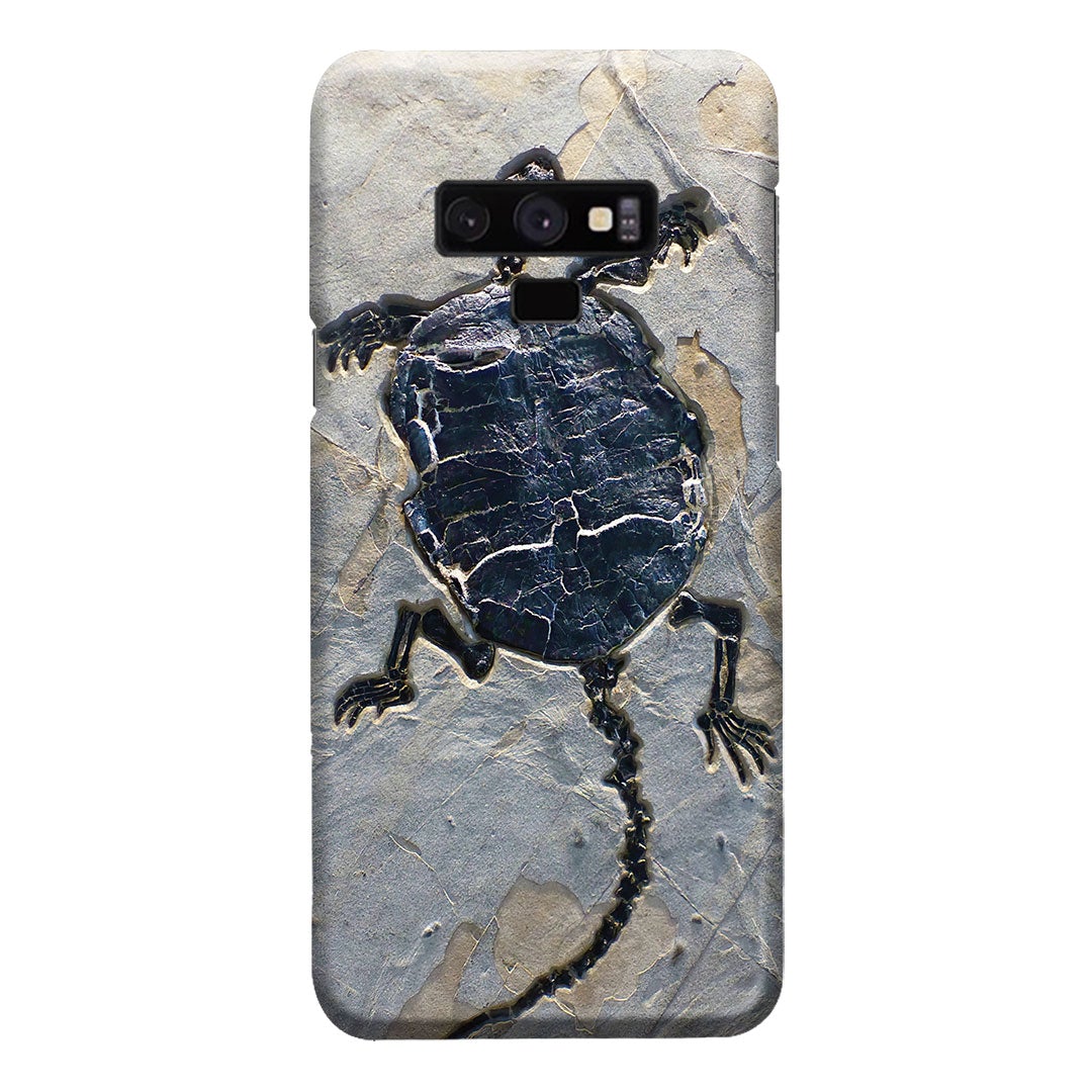 Cryptodiran Fossil Turtle Phone Case