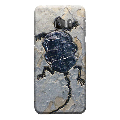 Cryptodiran Fossil Turtle Phone Case